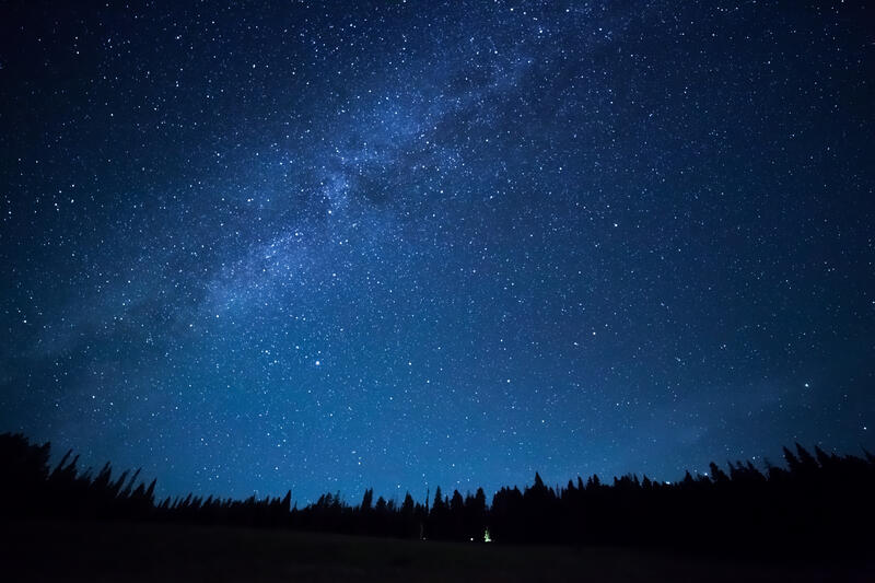 The sky at night, filled with stars, and the dark silhouette of a forest in the foreground